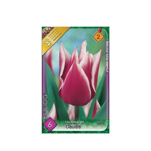 Tulipán claudia 6ks - Veľkonočné ozdoby