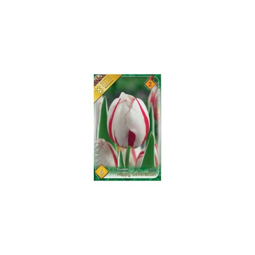Tulipán happy generation 6ks