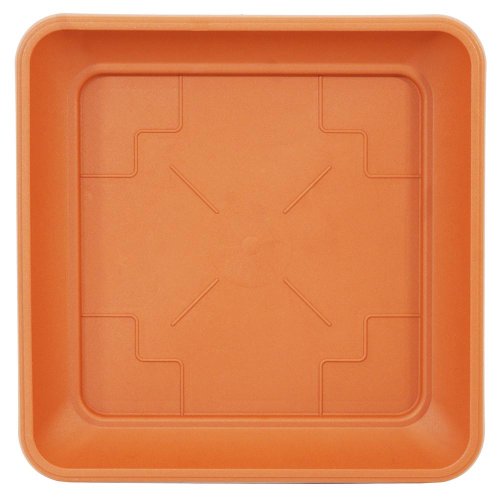 Pkwt14 miska kwadrat terra terakota 14x14xh1,9cm