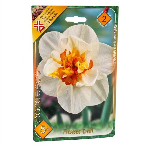 Narcis flower drift 5ks