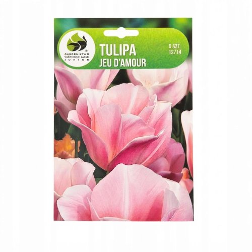 Tulipán jeu d´amour 5ks