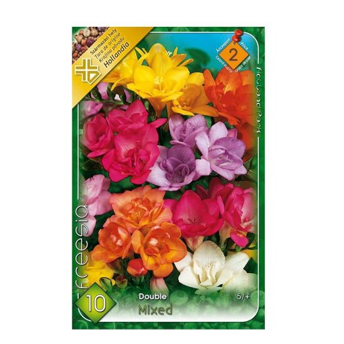 Freesia double mix 10ks - Umelé kvety