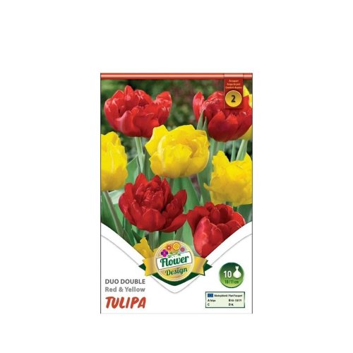 Tulipán duo double red&yellow 6ks - Umelé kvety