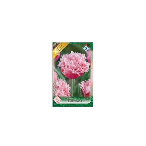 Tulipán queensland 6ks - Veľkonočné ozdoby