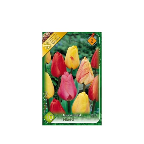 Tulipán darwin mix 10ks - Umelé kvety