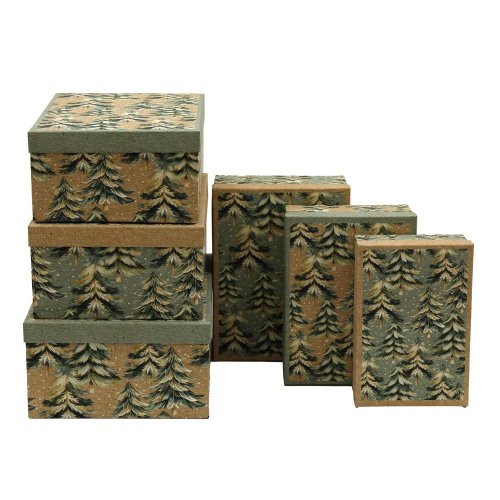 Box s/6 „zimný les“