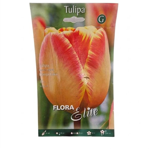 Tulipán banja luka 10ks - Vianočné dekorácie a ozdoby