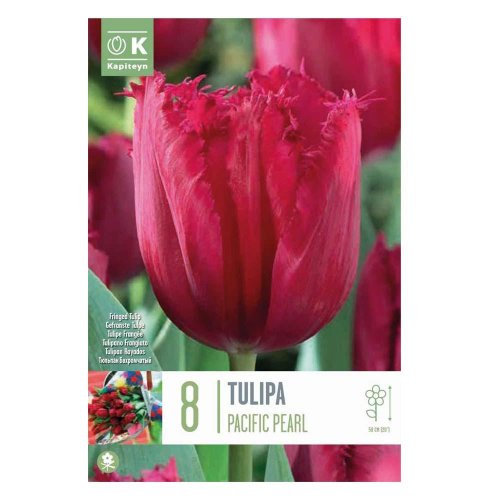Tulipán pacific pearl 8ks