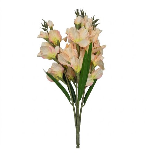 Kytica gladiola x5 bl.marhuľová 75cm