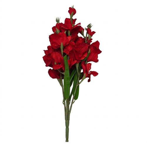 Kytica gladiola x5 červená 75cm