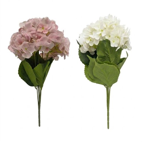 Kytica hydrangea mix/2f