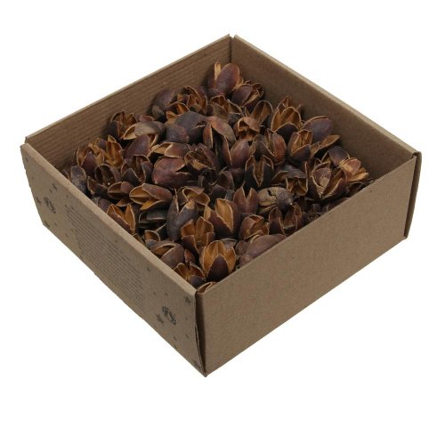 Bakuli naturál suš 400g - Umelé kvety