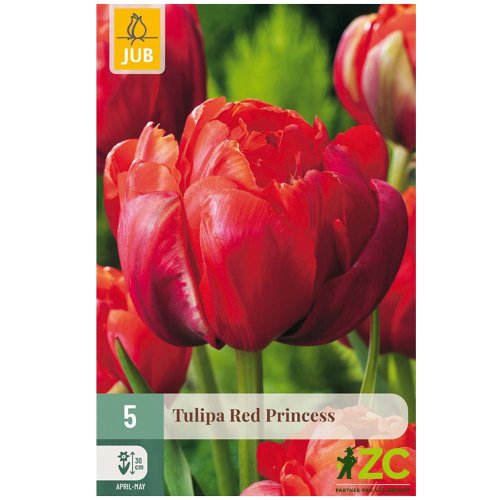 Tulipán red princess 5ks pevná cena