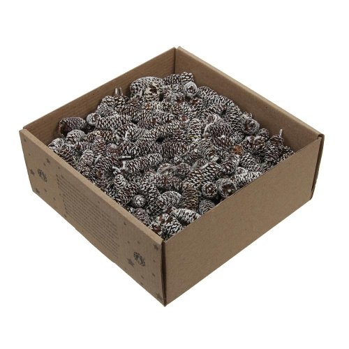 Birch pine/šiška bielená 250g. - Umelé kvety