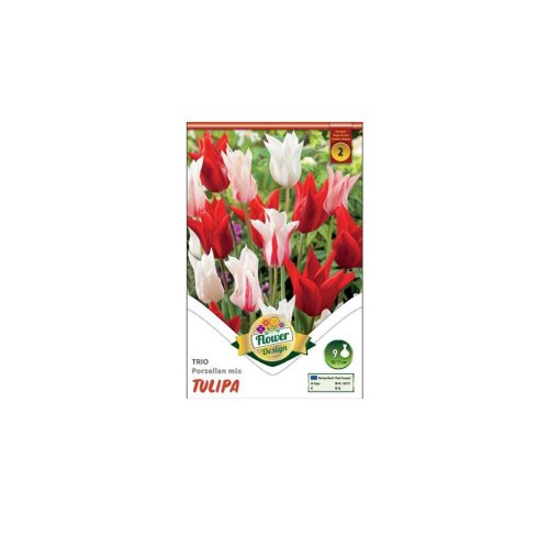 Tulipán trio porzellan mix 6ks - Umelé kvety