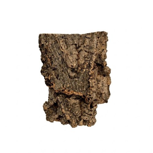 Korková kôra veľ.s 12-15cm 1ks pevná cena - Umelé kvety