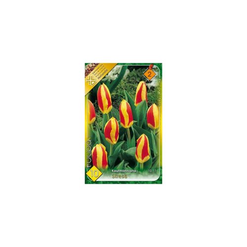 Tulipán stresa 8ks - Vianočné dekorácie