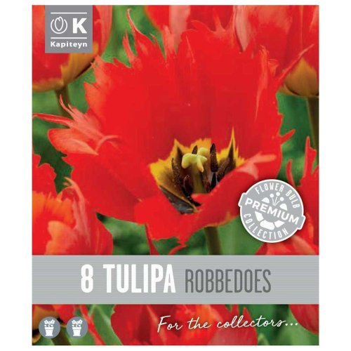 Tulipán prem.robbedoes 8ks