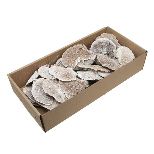 Sponge mushroom bielená - Vianočné dekorácie