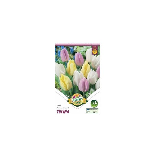 Tulipán trio prince mix 6ks - Umelé kvety