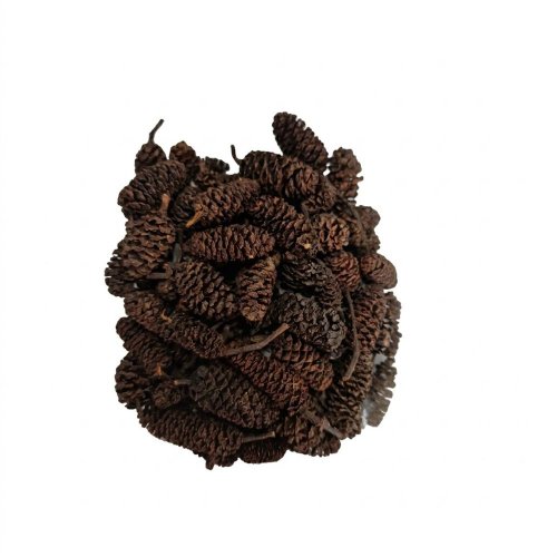 Pinecone birch nature 10x5x22cm 50gr