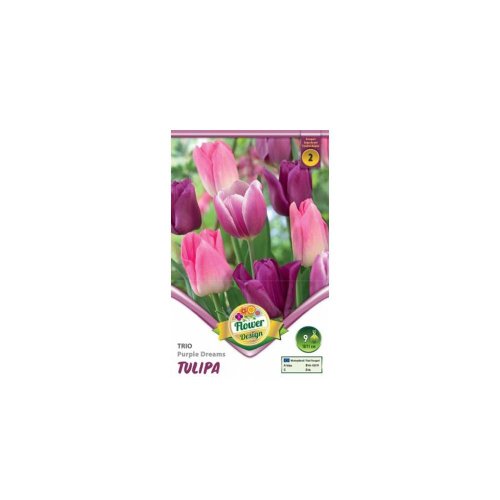 Tulipán trio purple dreams 6ks - Umelé kvety