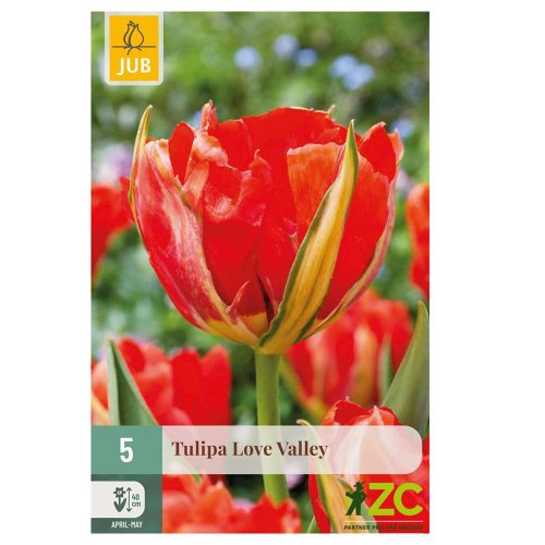 Tulipán love valley 5ks pevná cena - Umelé kvety