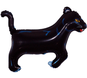 Balón Puma