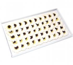 Mydlové kvety, malá slnečnica - krémová