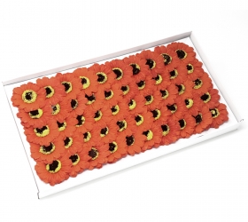 Mydlové kvety, malá slnečnica - oranžová