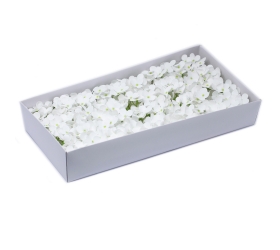 Mydlové kvety, kvet Hyacint - biela