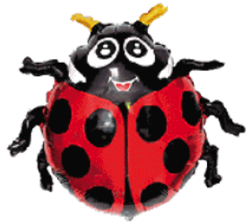 Balón Lienka