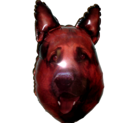 Balón REX