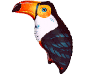 Balónik Tukan