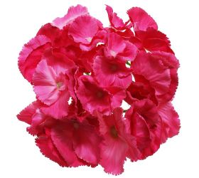 24flk01-0149 hlava hydrangea tmavo ružová 16cm