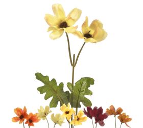 25020345 margarétka ks kvet 5f 33cm