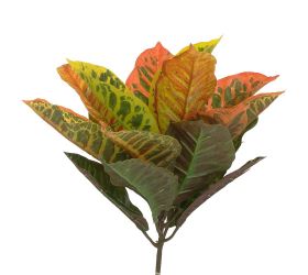 25flk0812 listy croton 50cm