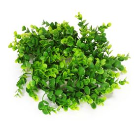 24flk02-0207 veniec  eucalyptus 30cm