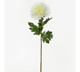 Ks chryz. biela 90cm
