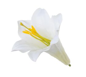 Hlava ľalia wh101/8 11cm