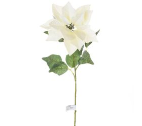 Ks poinsettia biela zasnežená 70cm