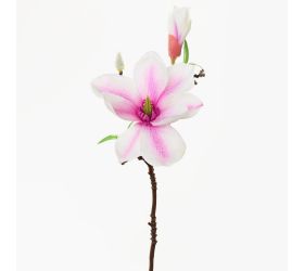 Konár magnólia bielo-ružová 36cm