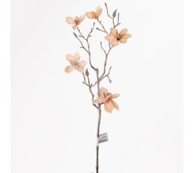 Ks magnolia spray.65cm .losos