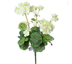 Kytica muškát 46cm biely