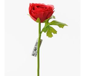 Ks ranunculus červ. 27cm