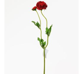 Ks ranunculus červený ks 39cm
