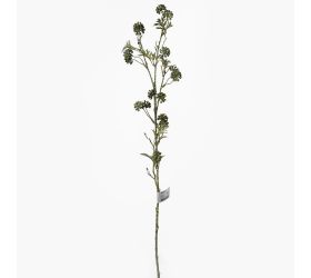 Ks zeleň bobule zelené 81cm