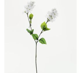 Ks kvet 75cm