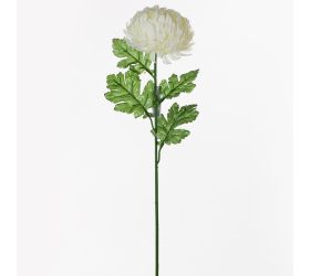 Ks chryzantéma 66cm biela