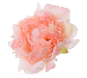 Hlava pivónia ružová p:12cm bal:12ks